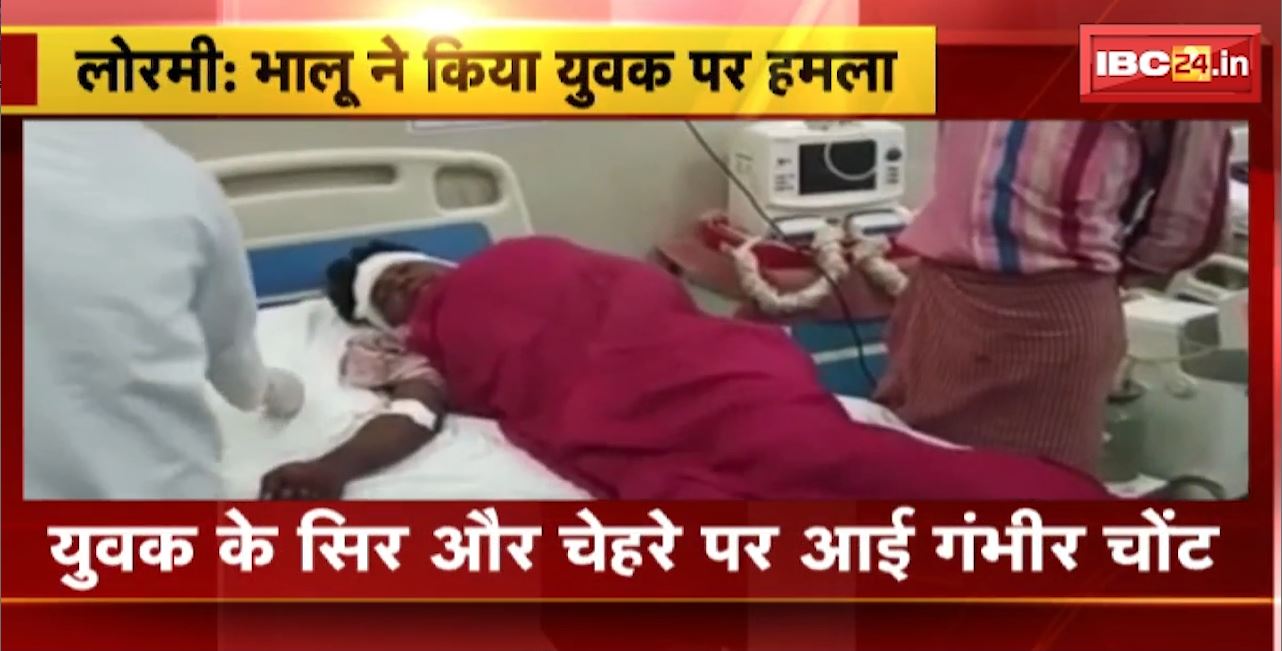 Lormi Bear Attack : भालू ने किया युवक पर हमला। युवक के सिर और चेहरे पर आई गंभीर चोट