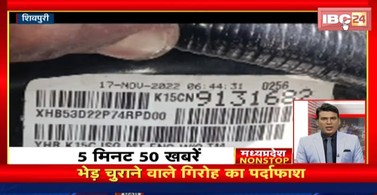 भेड़ चुराने वाले गिरोह का पर्दाफाश। Madhya Pradesh Non Stop News | Today Top News