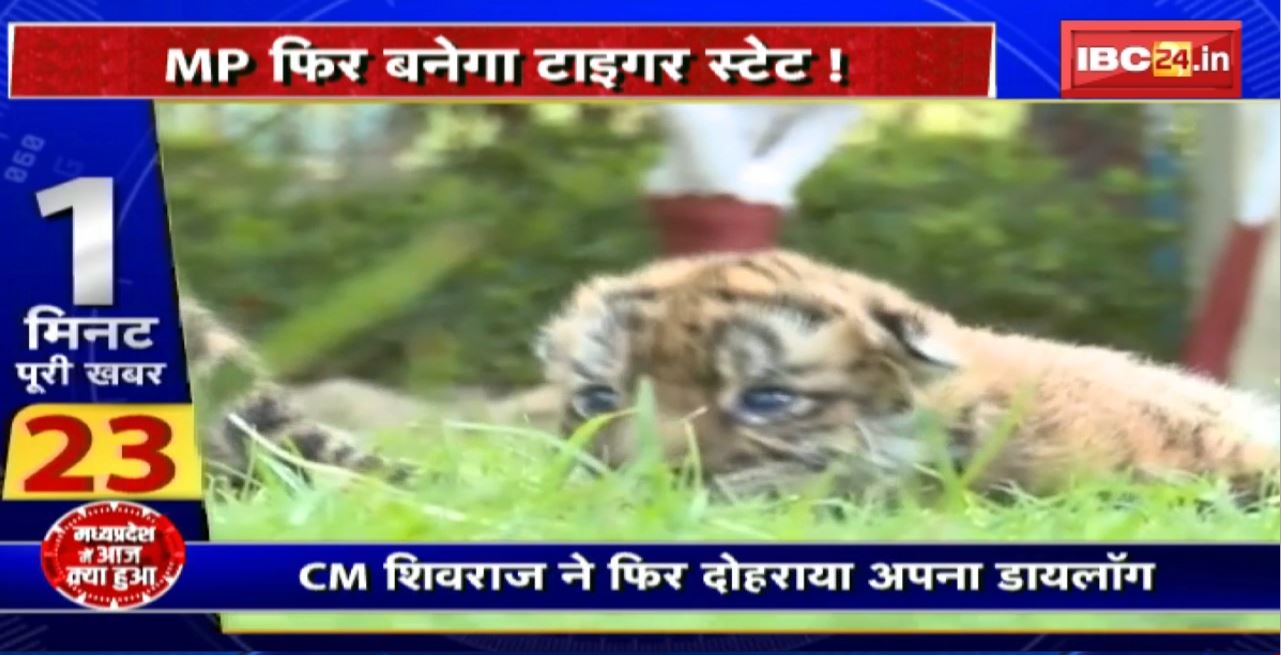 Madhya Pradesh@24 Minute : Madhya Pradesh फिर बनेगा Tiger State! PM Modi ने जारी किए नए आंकड़े