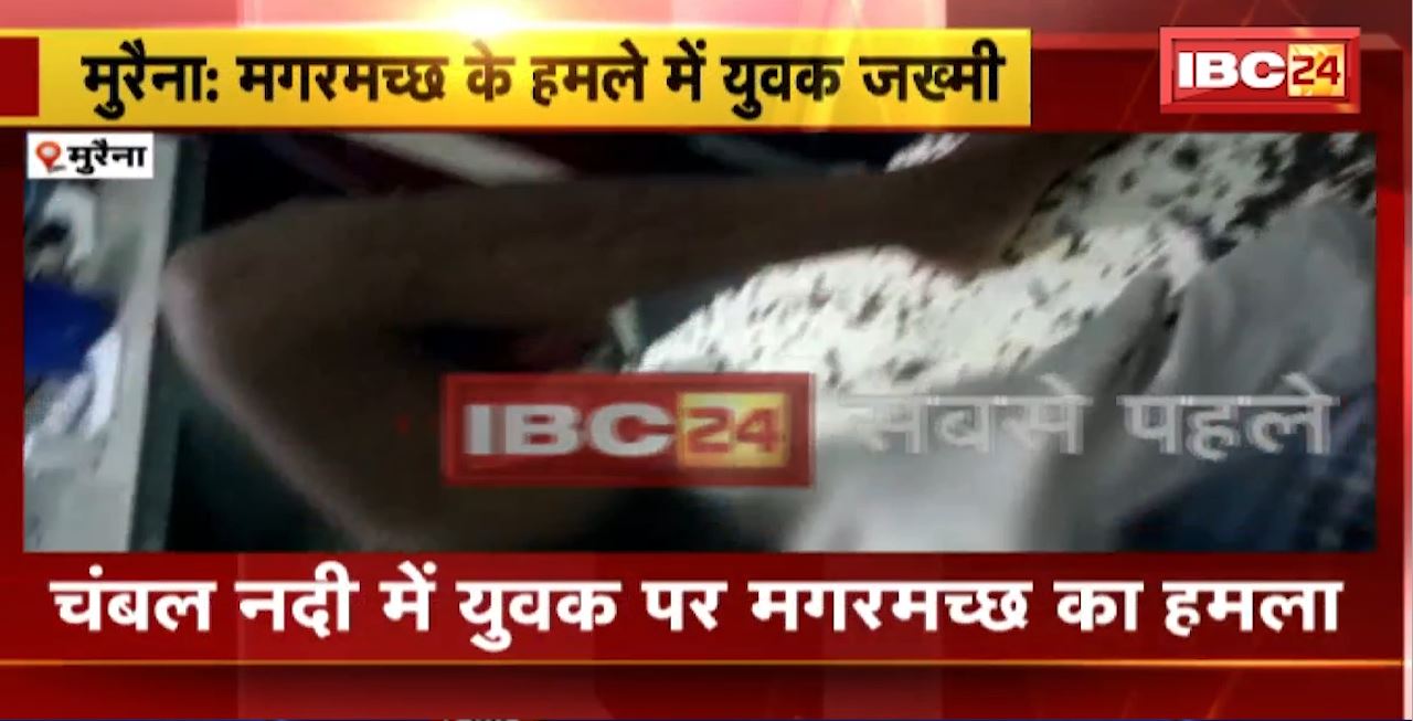 Morena Crocodile Attack : चंबल नदी में युवक पर मगरमच्छ का हमला। हमले में युवक जख्मी