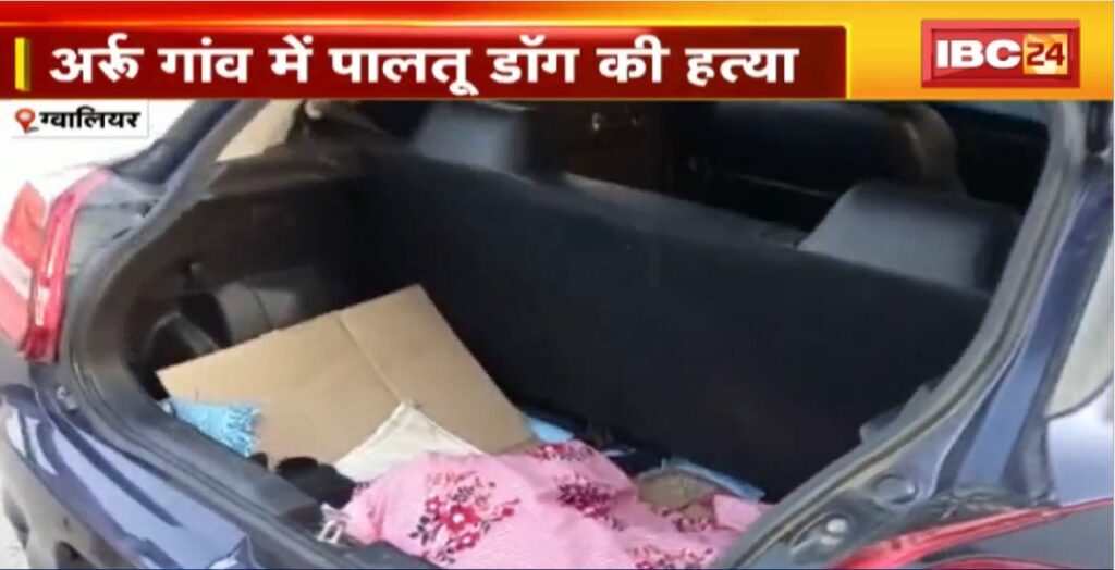 Pet dog killed in Arru village of Gwalior