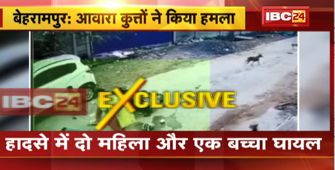 आवारा कुत्तों का आतंक! स्कूटी सवार महिला पर कुत्तों ने किया हमला। कार से जा टकराई स्कूटी, हादसे में 2 महिला और 1 बच्चा घायल। देखिए वीडियो..