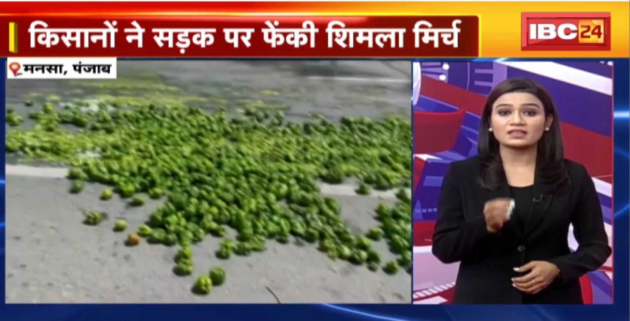 TOP 5 PM : किसानों ने सड़क पर फेंकी शिमला मिर्च | देखिए 5 बजे 25 खबरें