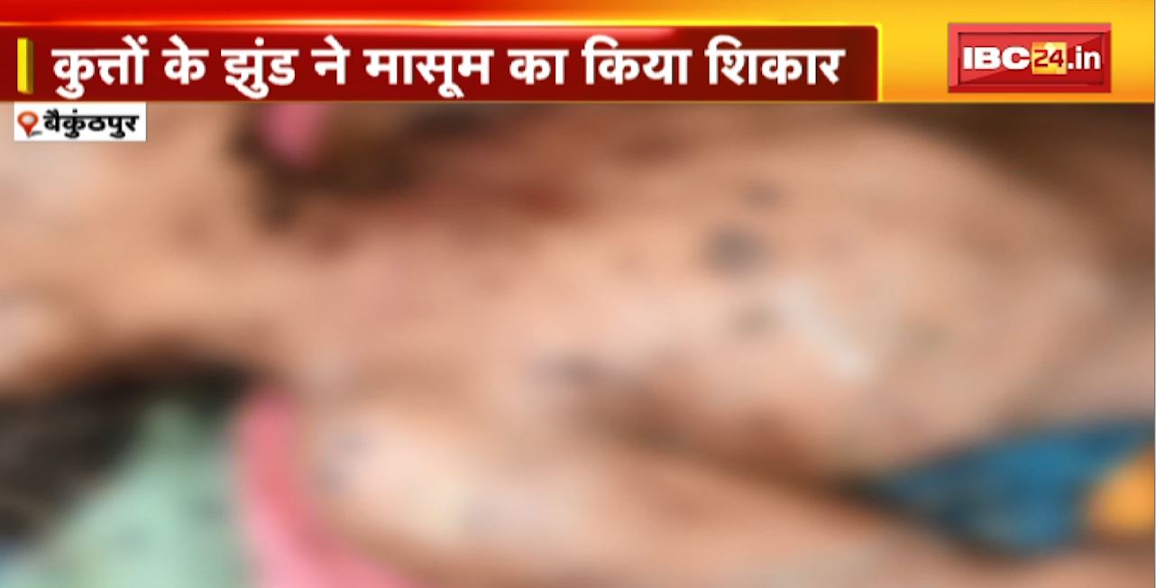 Terror of Stray Dogs in Baikunthpur : कुत्तों के झुंड ने मासूम का किया शिकार। 5 साल की बच्ची को नोंचकर मार डाला