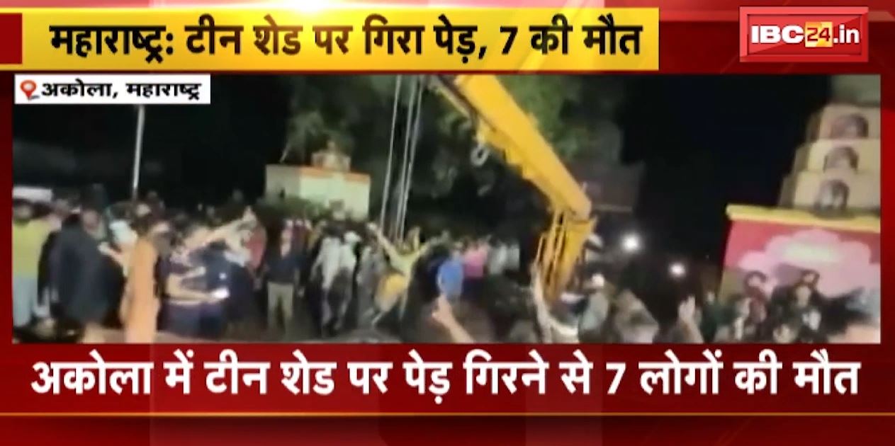 टीन शेड पर गिरा पेड़..हो गई 7 लोगों की मौत। महाराष्ट्र के अकोला में हुआ दर्दनाक हादसा। देखिए…