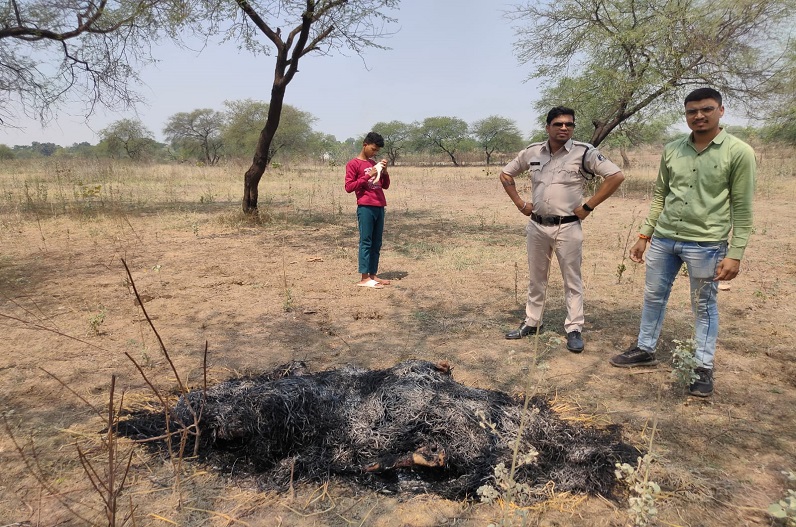 half-dead body of saale found in the field