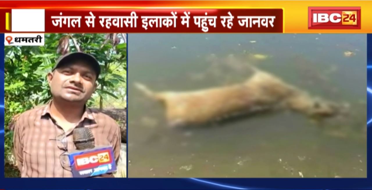 ‘Water crisis’ in The Forests of Dhamtari : जंगलों में पानी की कमी, जानवरों पर आफत। पानी में तैरता मिला हिरण का शव