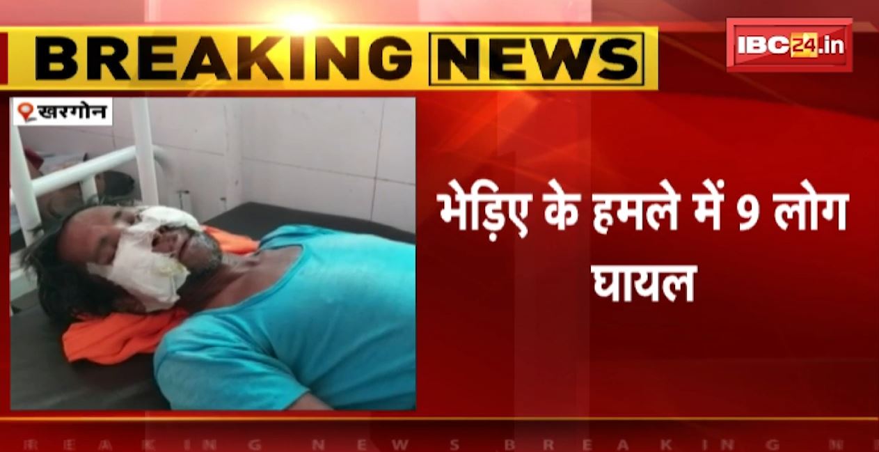खरगोन में आदमखोर भेड़िए ने किया ग्रामीणों पर हमला। भेड़िए के हमले से 9 लोग घायल। देखिए..