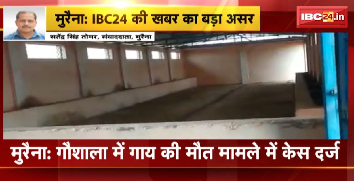 मुरैना में गौशाला में गाय की मौत का मामला। मामले में सरपंच और पंचायत सचिव के खिलाफ FIR दर्ज। देखिए..