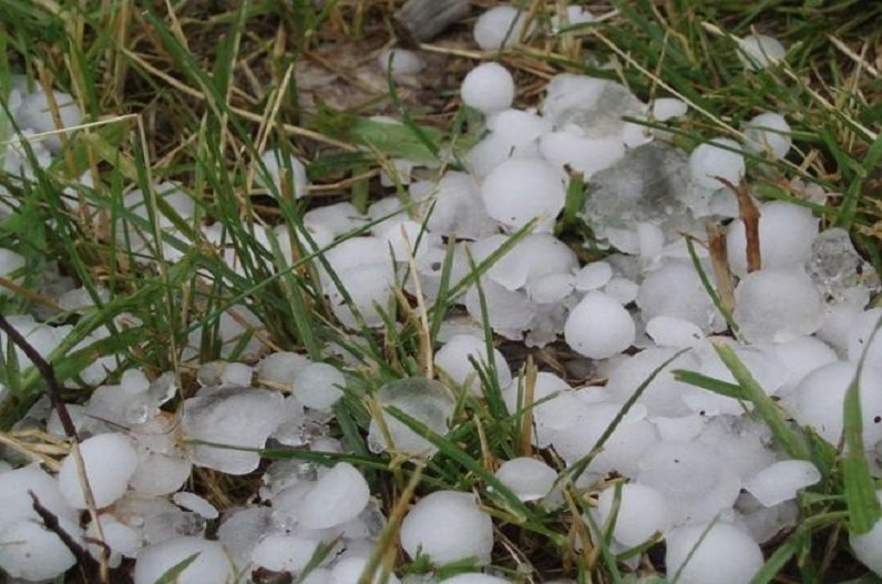 Farmers are demanding compensation due to hailstorm