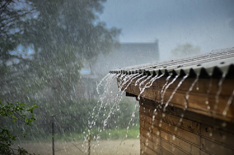प्रदेश में फिर बदला मौसम का मिजाज, कई जिलों में गरज-चमक के साथ होगी बारिश, मौसम विभाग ने जारी किया ‘येलो’ अलर्ट