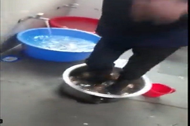 open pole of aiims hospital canteen