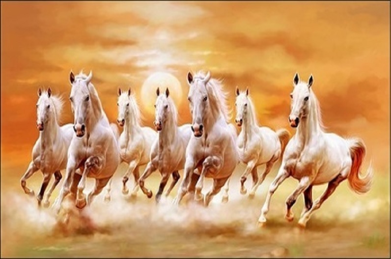 luck of these zodiac signs will change and money will rain with picture of these 7 horses