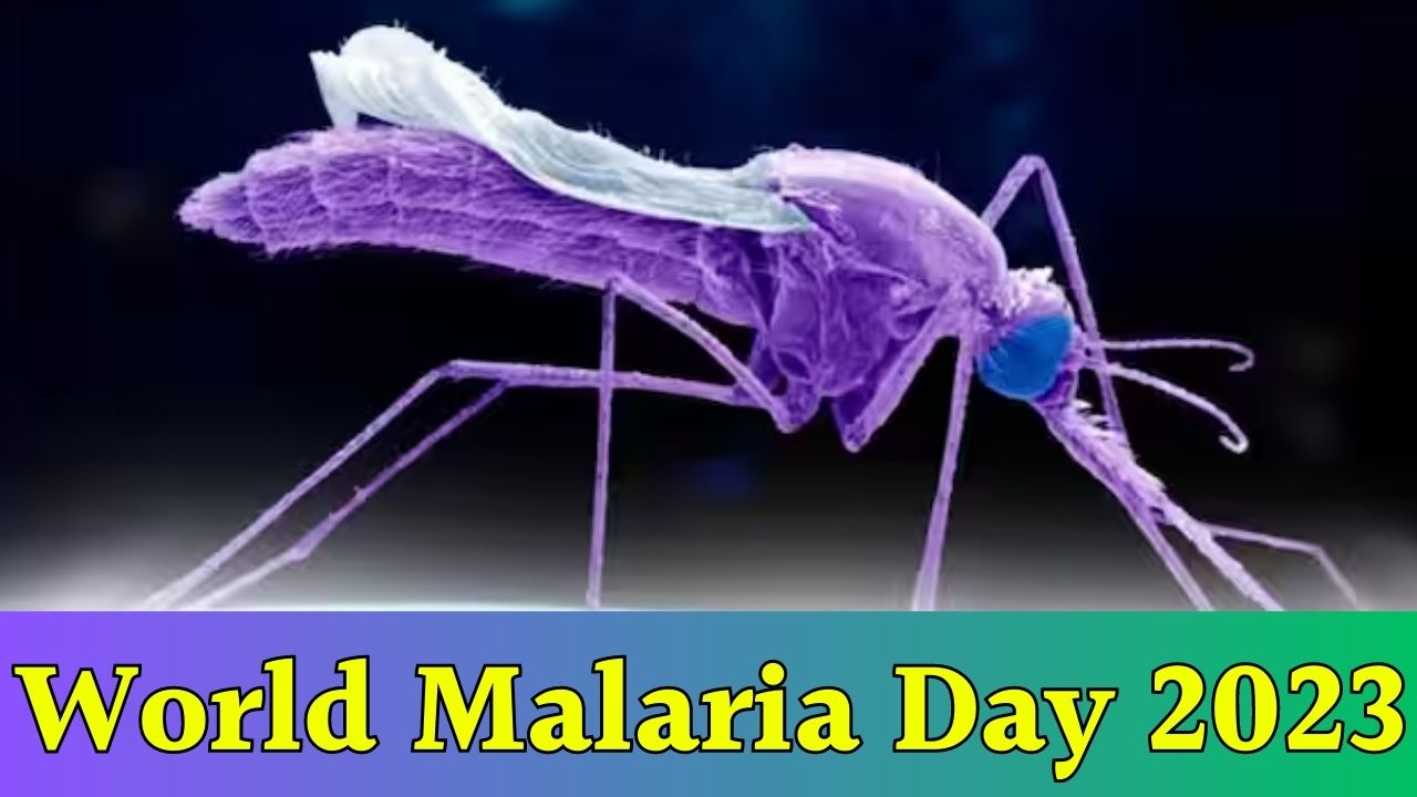 World Malaria Day 2023 : आज ही के दिन क्यों मनाया जाता है विश्व मलेरिया दिवस, जानें इसका पूरा इतिहास और महत्व…