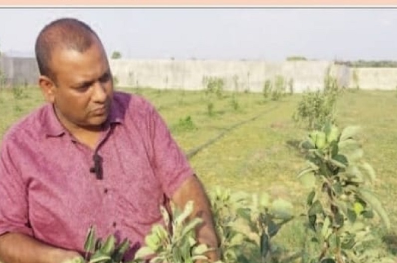 मुख्यमंत्री की पहल पर छत्तीसगढ़ के युवा किसान कर रहे हैं खेती में नवाचार, धान की खेती से हटकर खेतों में उगा रहे दूसरी फसल…