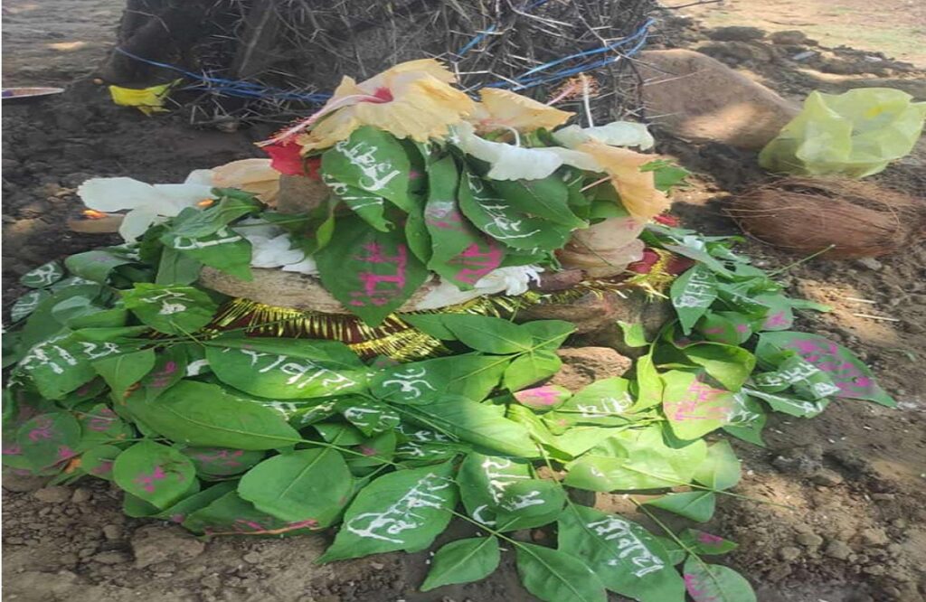 Shivling came out of the ground during digging in MNREGA