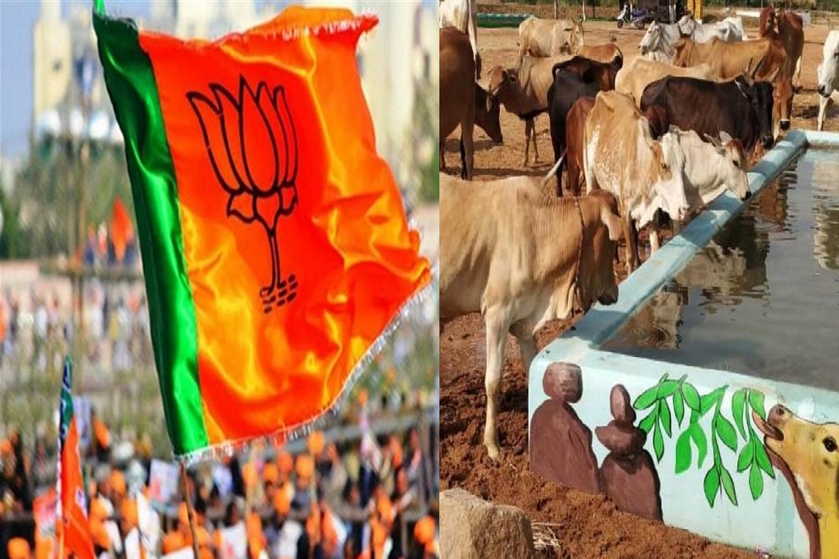 चलबो गोठान खोलबो पोल अभियान: करोड़ों रुपए के भ्रष्टाचार को लेकर BJP सासंद ने प्रशासन को दिया चैलेंज