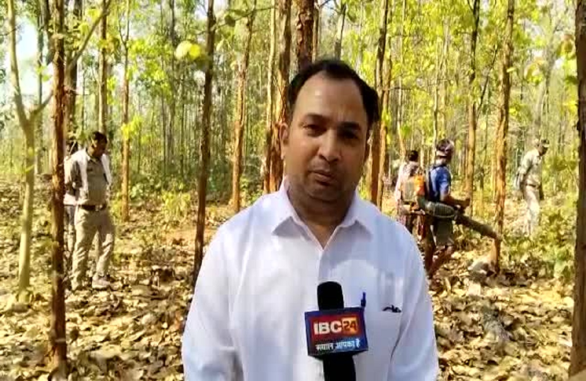 Patthalgaon News: जंगलों को आग से बचाने में महत्वपूर्ण भूमिका निभा रही सोशल मीडिया, जानिए कैसे