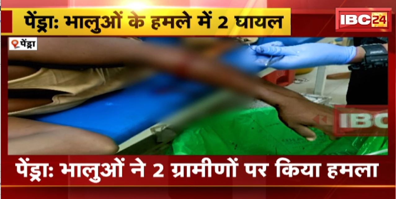 पेंड्रा में भालुओं ने ग्रामीणों पर किया हमला। हमले में 2 लोग घायल, 1 की हालत गंभीर। देखिए…