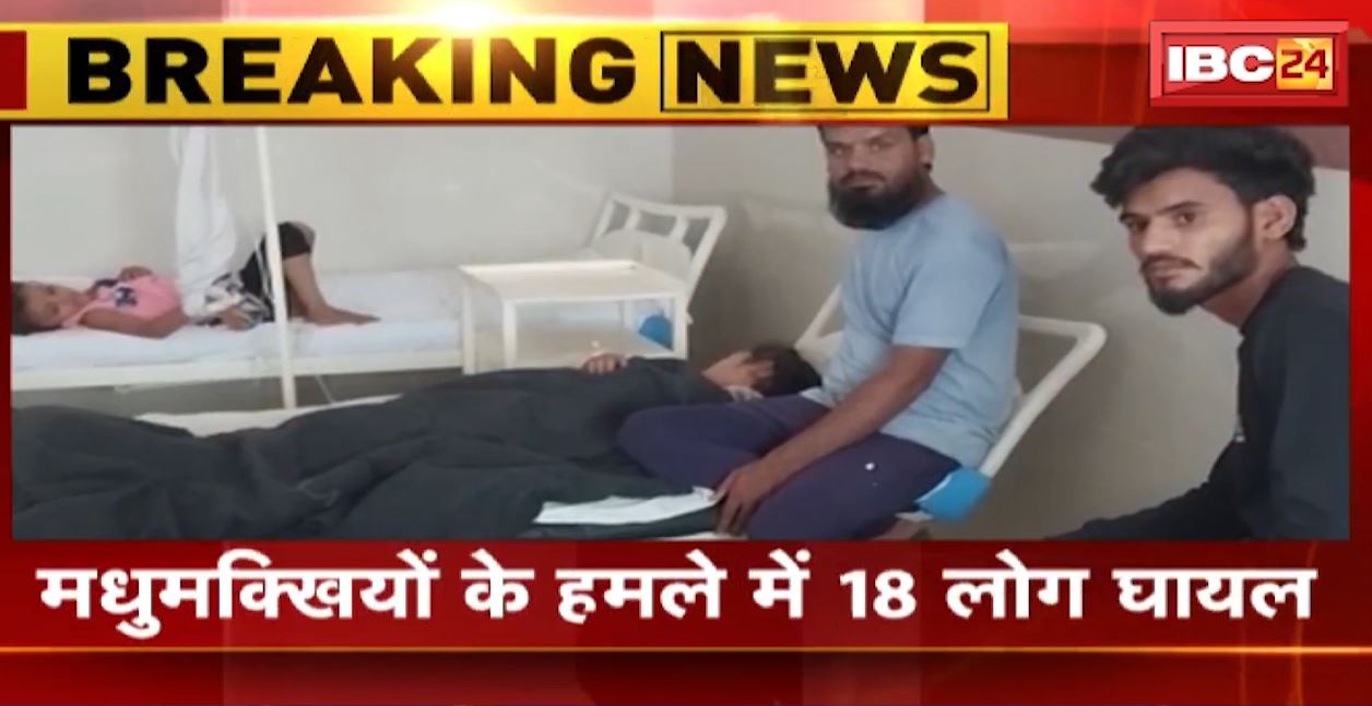 हरदा में मधुमक्खियों ने किया हमला। हमले में 18 लोग घायल, घायलों में 10 बच्चे शामिल