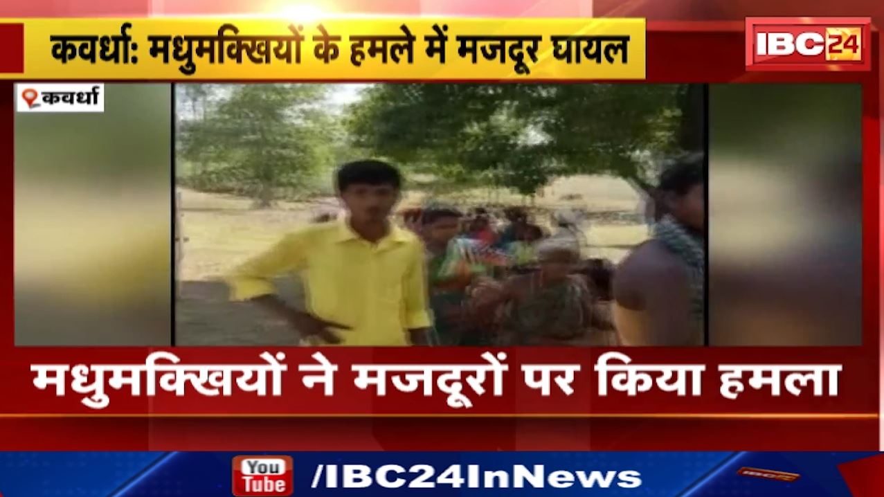 Bees attacked in Kawardha : मधुमक्खियों के हमले में 12 मजदूर घायल, 4 गंभीर