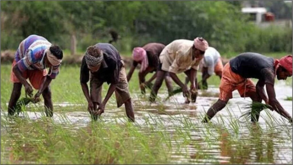 CG Rajiv Gandhi Bhumihin Nyay Yojana