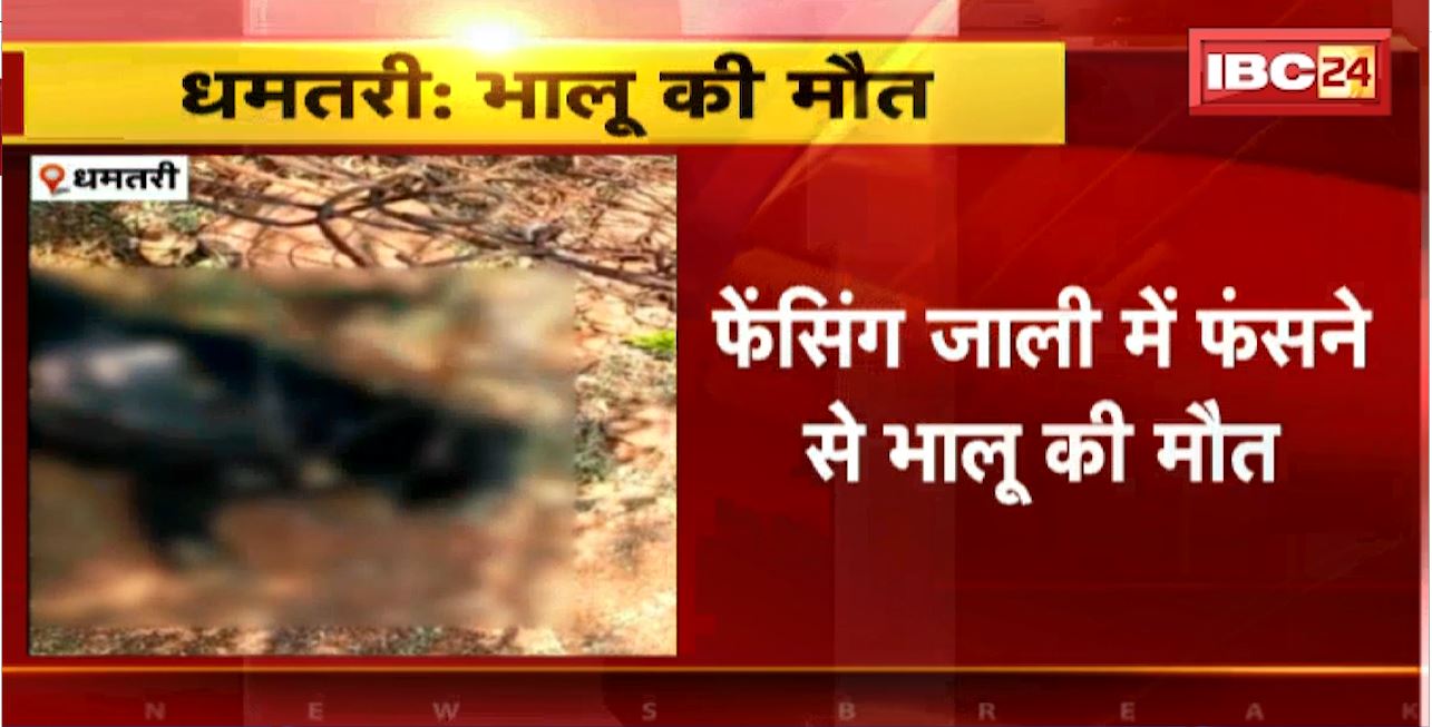 Dhamtari Bear News : फेंसिंग जाली में फंसने से भालू की मौत। वन विभाग ने लगाई थी फेंसिंग जाली