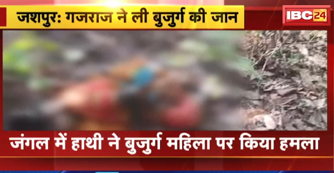 जशपुर में हाथी ने बुजुर्ग महिला पर किया हमला। हाथी के हमले से बुजुर्ग की मौके पर मौत। देखिए..