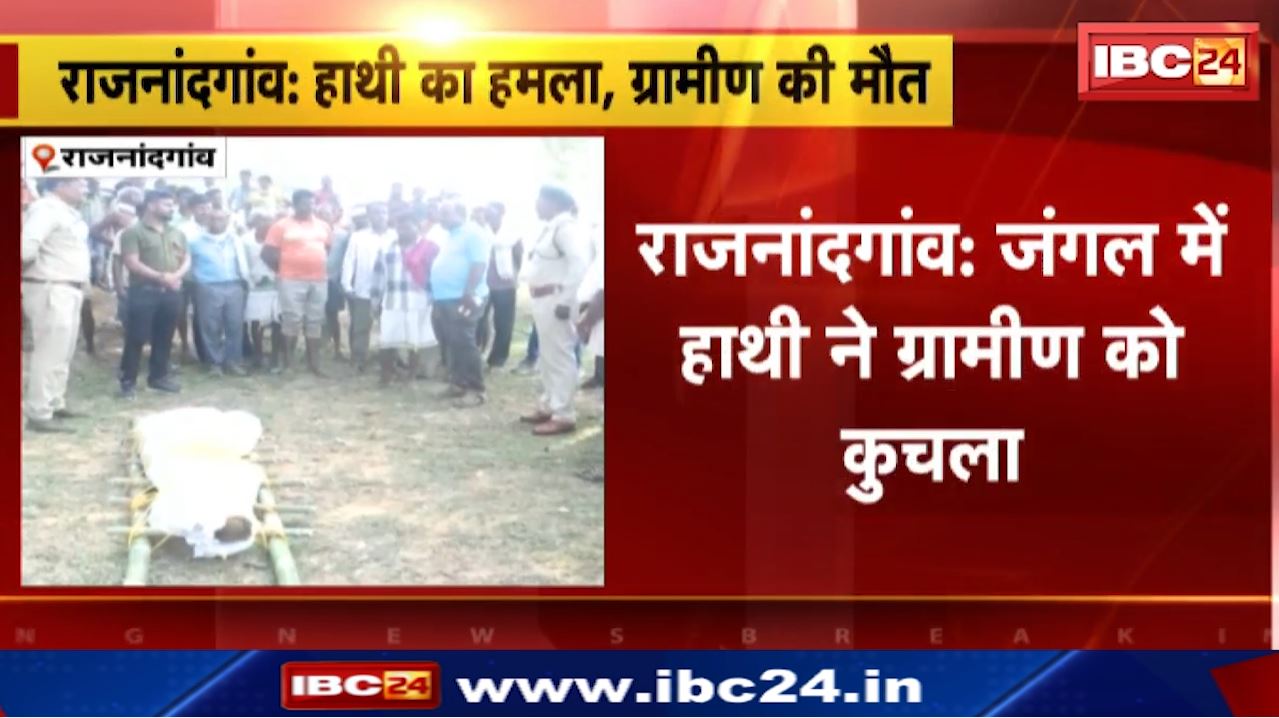 राजनांदगांव में हाथी ने ग्रामीण को कुचला। हाथी के कुचलने से ग्रामीण की मौत, मौके पर वन अमला मौजूद। देखिए..
