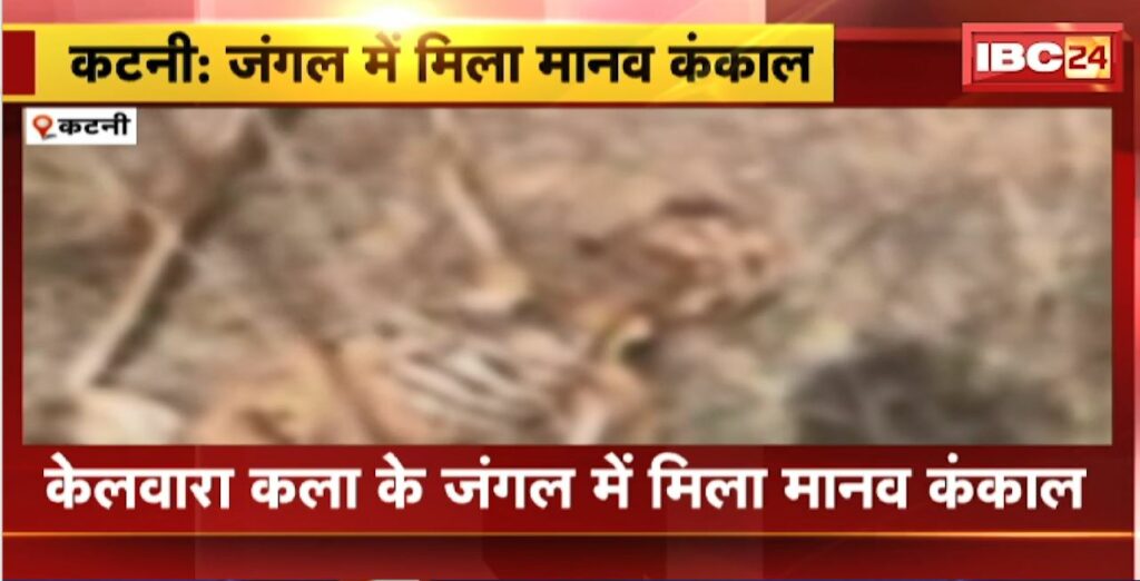 Human skeleton found in Katni forest