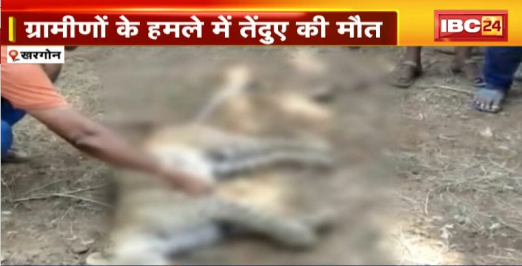Leopard attacked a young man in Khargone