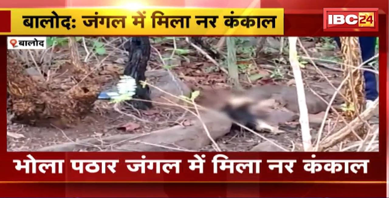 बालोद के जंगल में मिला नर कंकाल। Balod Police ने हत्या की जताई आशंका