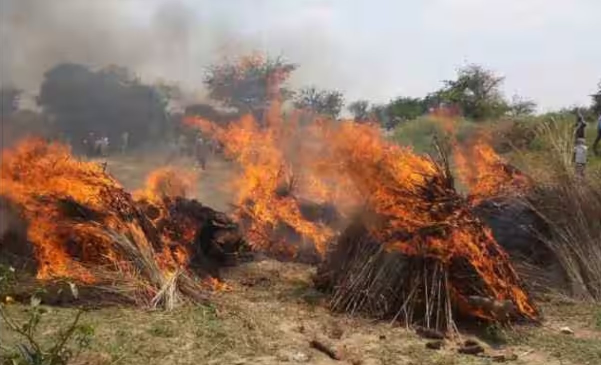 Morena Golikand Video: हर किसी की आखें थी नम, जब गांव में एक साथ जली 6 लोगों की चिताएं, गोलीकांड के बाद पसरा सन्नाटा