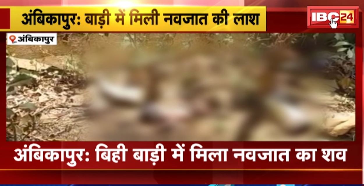 अंबिकापुर के बिही बाड़ी में मिला नवजात का शव। नवजात के शव को कुत्तों ने बुरी तरह से नोचा। देखिए..