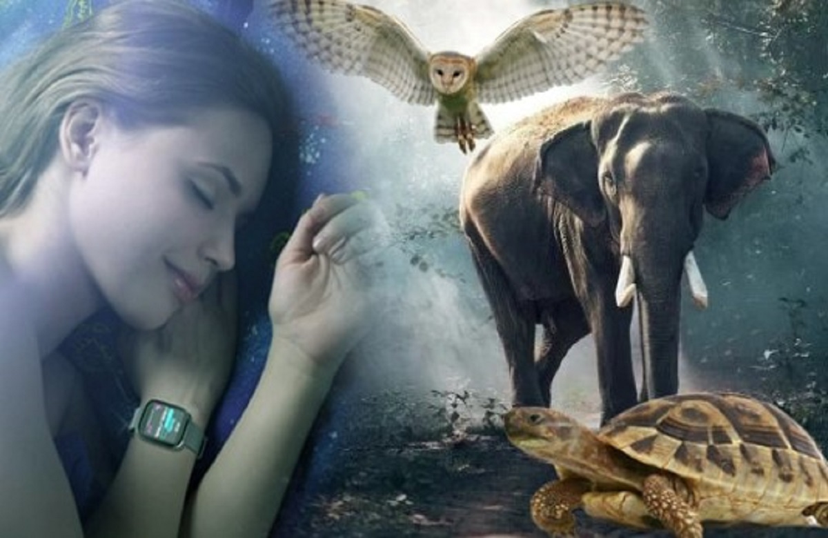 सपने में इन जानवरों को देखना होता है शुभ, खुल जाती है किस्मत, बनता है धन वृद्धि का संयोग