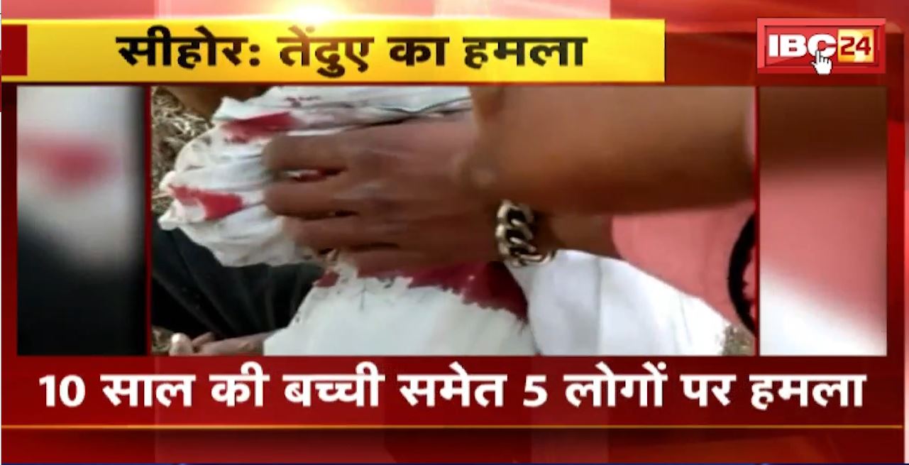 Sehore Leopard Attack : मोयापानी गांव में घुसा तेंदुआ। 10 साल की बच्ची समेत 5 लोगों पर किया हमला