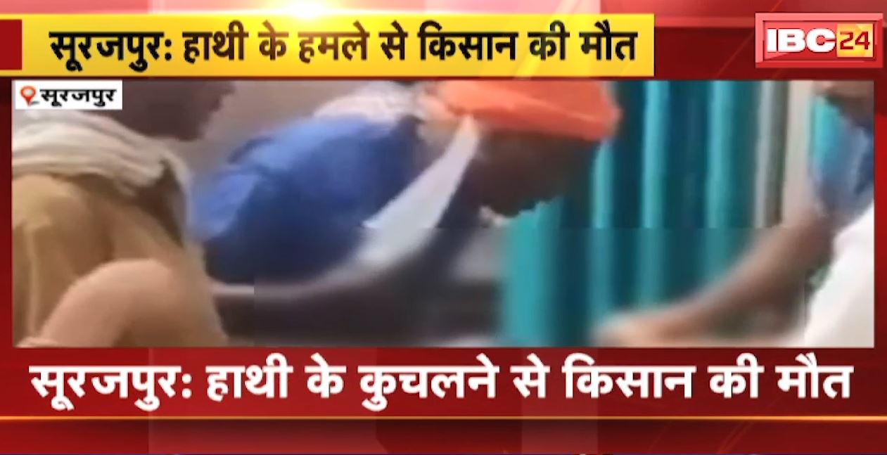 तेंदुपत्ता तोड़ने गए किसान पर हाथी ने किया हमला। घायल किसान की इलाज के दौरान मौत। देखिए…