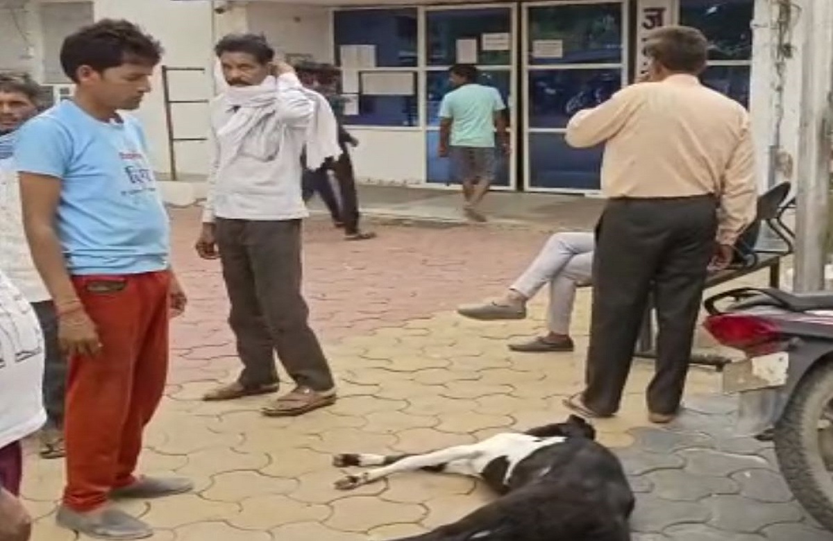 Shivpuri News: ‘मेरे बकरे की हत्या की गई है साहब..’ शिकायत दर्ज कराने थाने पहुंचा मालिक, लगाए गंभीर आरोप
