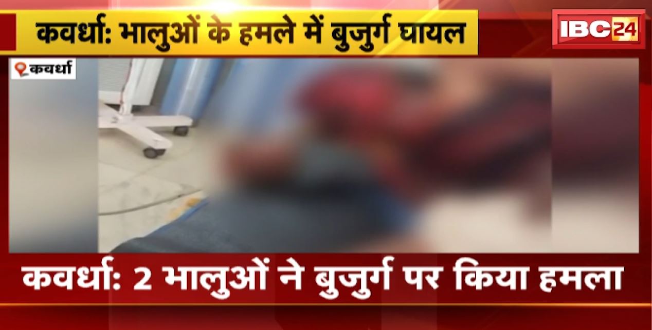 कवर्धा में तेंदुपत्ता तोड़ने गए बुजुर्ग पर भालुओं का हमला। भालुओं के हमले से बुजुर्ग घायल। देखिए…