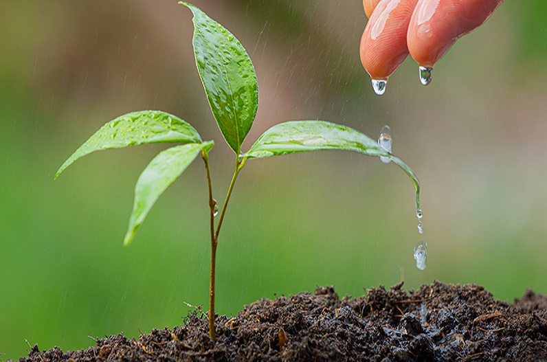 विश्व पर्यावरण दिवस पर Online प्रतियोगिता 1 से 31 मई तक, जाने कौन होंगे पात्र…