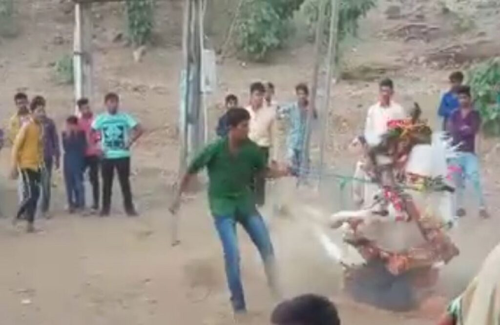 The groom fell from his horse in his own procession