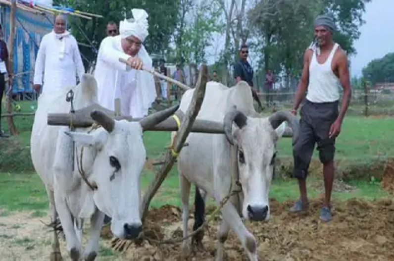 Record paddy purchase in Chhattisgarh