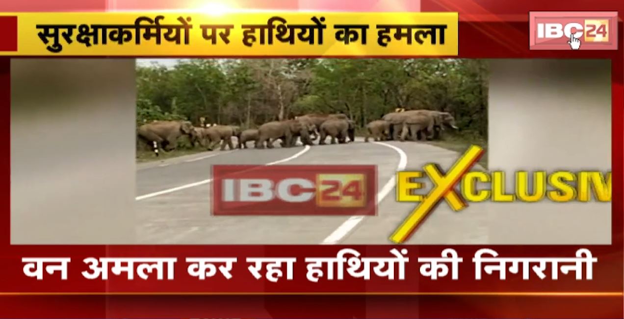 कोरबा में चेकपोस्ट पर तैनात सुरक्षाकर्मियों पर हाथियों ने किया हमला। दोनों ने भागकर बचाई अपनी जान। देखिए..