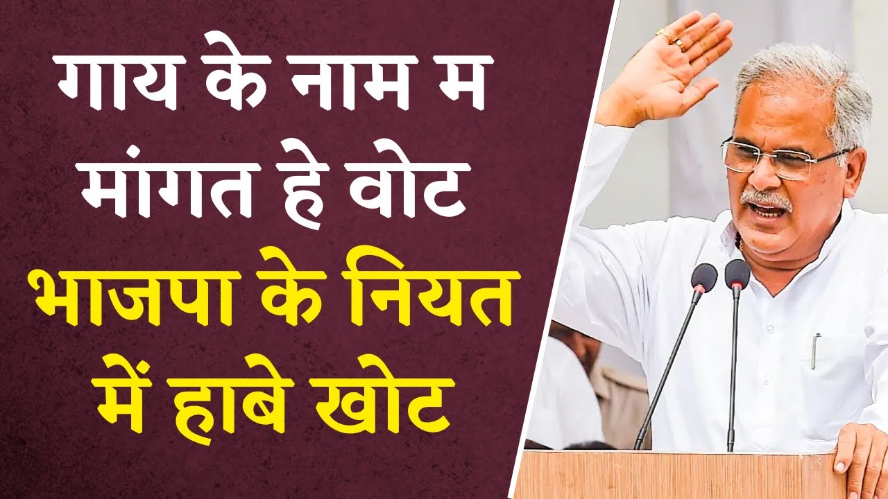 Bharose ka Sammelan: गाय के नाम म मांगत हे वोट, BJP के नियत में हाबे खोट, CM Baghel