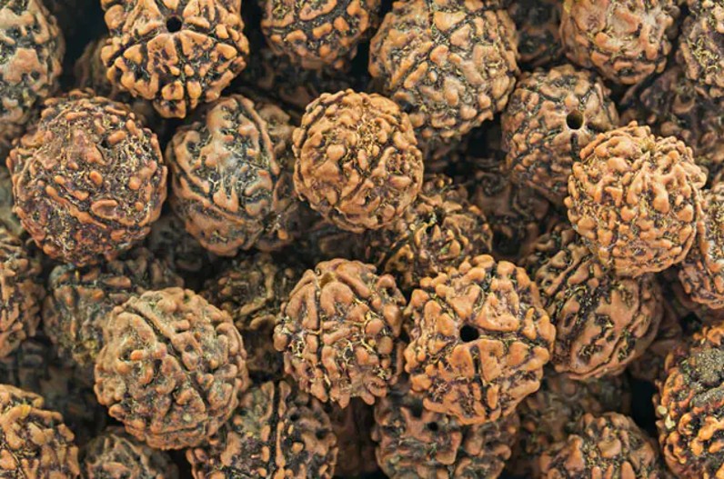 इस मंत्र का जाप करते हुए धारण करें पंचमुखी रुद्राक्ष, पहले जान लें पहनने के नियम