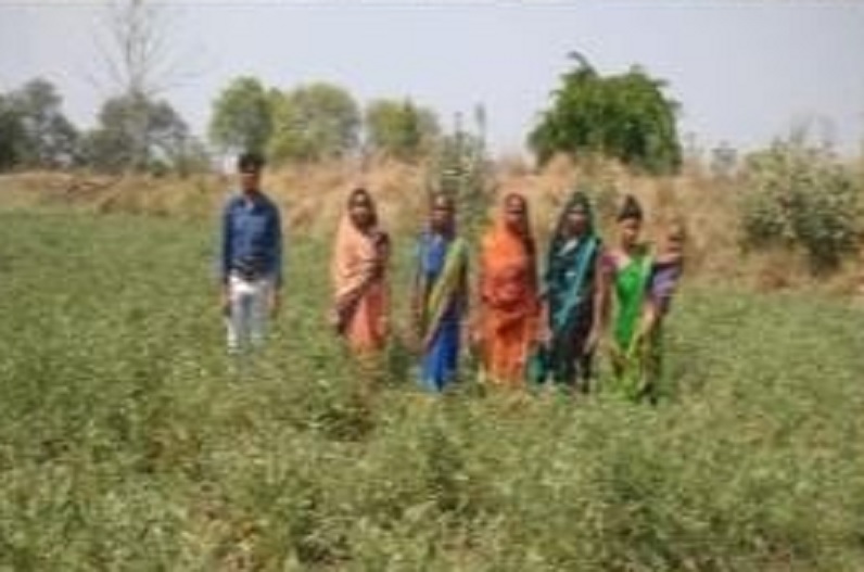 महिला स्व सहायता समूह लिख रही हैं सफलता की कहानी, मुर्गी पालन से संवरी जिंदगी, 9 लाख 19 हजार 882 रूपये का आय किया अर्जित