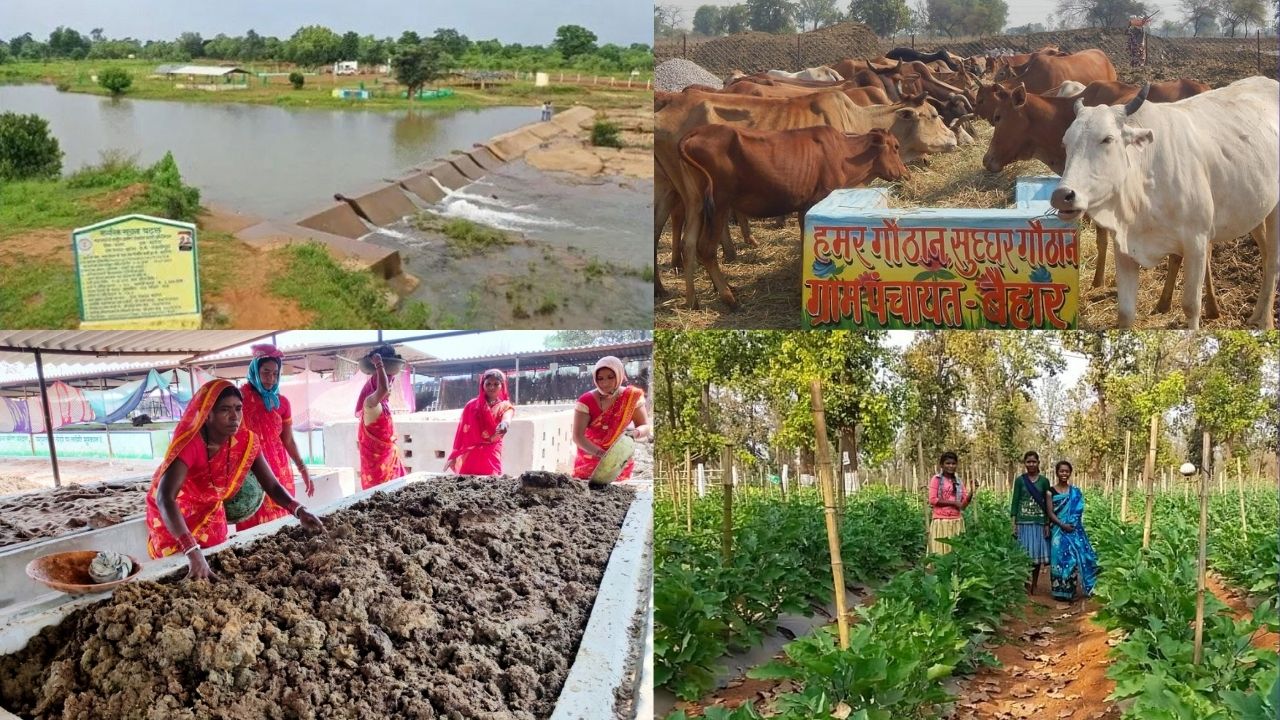 छत्तीसगढ़ के लिए उपयोगी साबित हो रही नरवा, गरवा, घुरवा, बारी योजना! ग्रामीणों की जिंदगी में दिख रहे बेहतर बदलाव