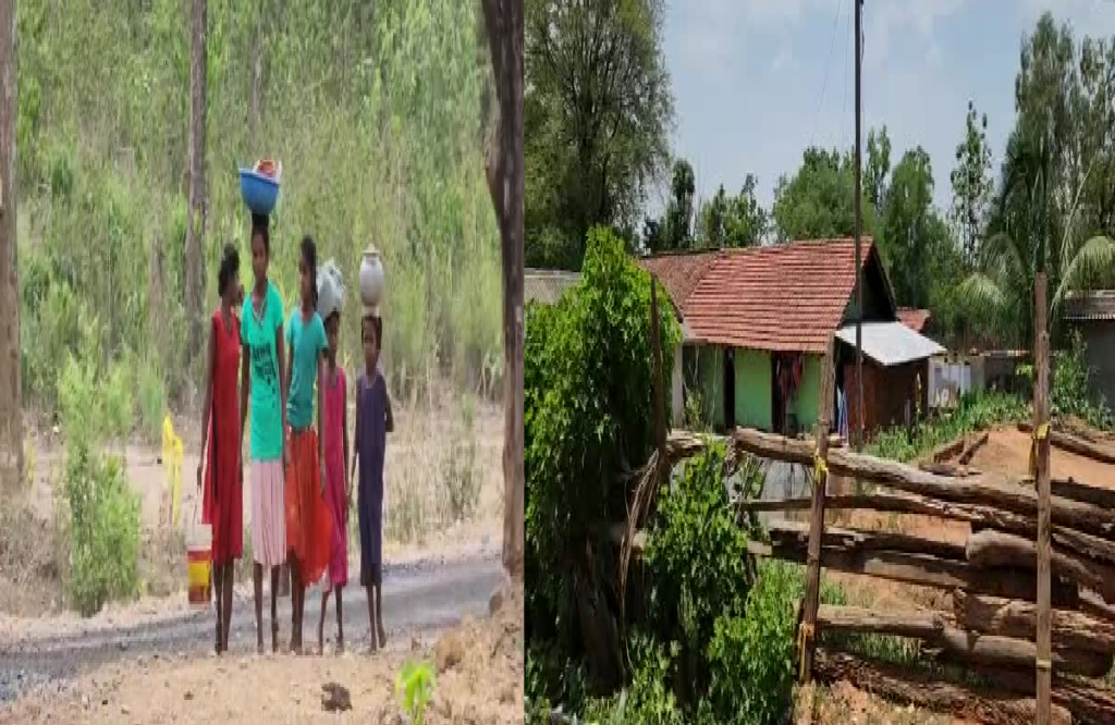 Chhattisgarh Rural Road Development Agency completed the work of 1200 km of roads