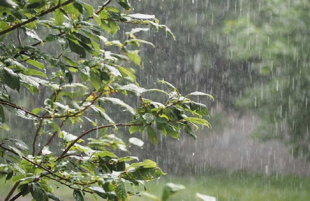 CG Rain Alert: Orange-yellow alert issued for rain in these districts of Chhattisgarh