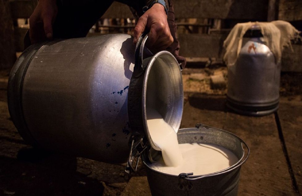 World Milk Day 2023: 23 साल पहले हुई थी इस दिन की शुरुआत, जानें क्या हैं इस बार का थीम, पढ़े इस दिन का इतिहास